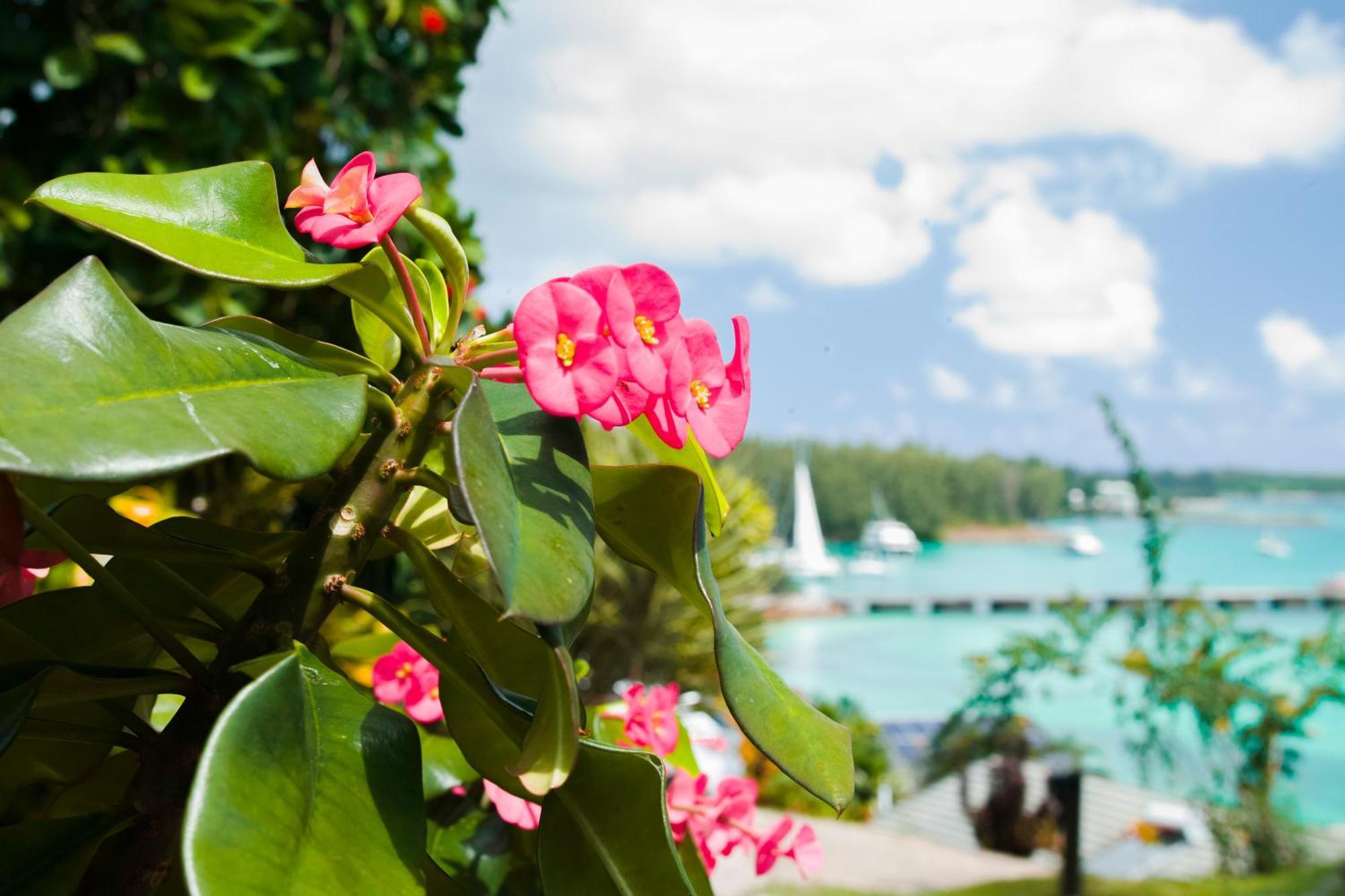 Colibri Hotel Baie Sainte Anne Luaran gambar