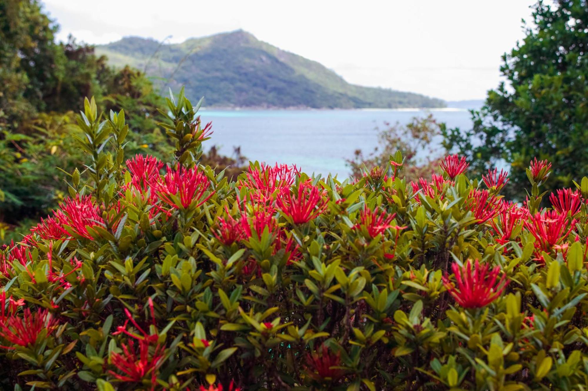 Colibri Hotel Baie Sainte Anne Luaran gambar